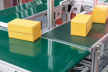 Carton sorting using a mechanical system for delivering goods within the factory with an automatic...