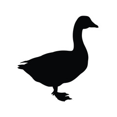 Duck silhouette vector illustration on a white background. EPS 10.