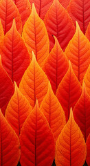 Obraz premium Intricate pattern of red and orange autumn leaves, showcasing vibrant fall colors and natural texture, representing seasonal change and autumnal beauty