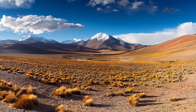 arid highlands in the sud lipez region bolivia
