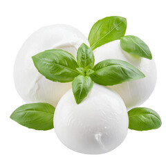 Fototapeta premium mozzarella cheese isolated on white and transparent background.