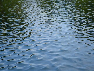 Abstract Reflection in Water reflection in the water