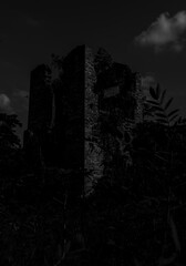 Many old, dilapidated buildings are overgrown with wild vines and weeds.