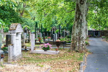 Schöne Grabstätten unter Bäumen auf einem Friedhof in Würzburg