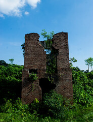 Many old, dilapidated buildings are overgrown with wild vines and weeds.