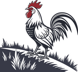 A vibrant red rooster, a farm animal, stands isolated on a white background