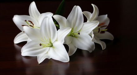 Fototapeta premium White Lilies on Dark Wood and a Peaceful and Elegant Look
