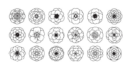 Camellia line art icon bundle illustration
