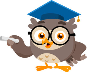 Owl Teacher Cartoon Character Explaining Lesson Holding Chalk - Vector Illustration Flat Design Isolated On Transparent Background