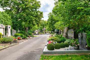  Hauptweg auf dem Friedhof in Würzburg