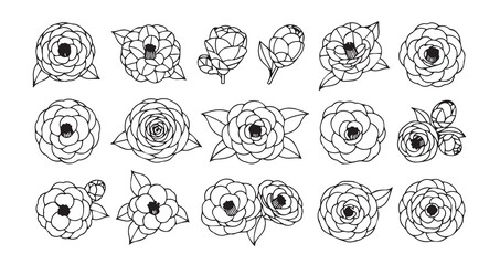 Camellia line art icon bundle illustration