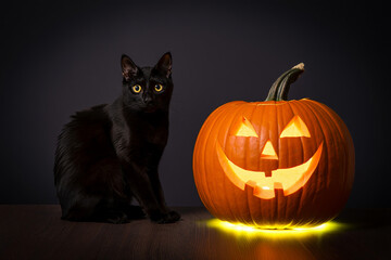 Halloween Night Black Cat and Glowing Jack-o'-Lantern