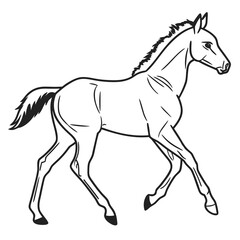 horse vector illustration