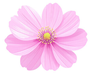 Firefly_peony flowers isolated on white - Firefly_pink flower isolated on white (3)