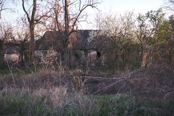 Abandoned Rural House in Overgrown Garden