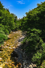 鳥川渓谷緑地の水辺