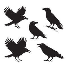 Obraz premium Five black crow silhouettes in various poses on white background raven bird 2