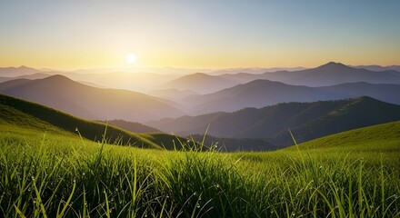 Golden sunrise over a lush green meadow and rolling hills. Nature, tranquility, and new beginnings concepts. A peaceful morning landscape with dew on the grass and mountains in the background.
