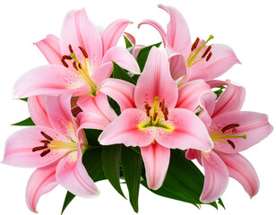 Fototapeta premium Firefly_peony flowers isolated on white - Firefly_Pink lily flower bouquet isolated on transparent background (4)