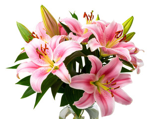 Naklejka premium Firefly_peony flowers isolated on white - Firefly_Pink lily flower bouquet isolated on transparent background (4)