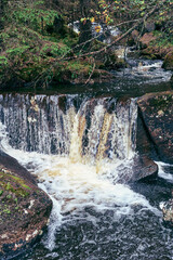 Villbekken Brook of the Totenåsen Hills, Norway, in August.