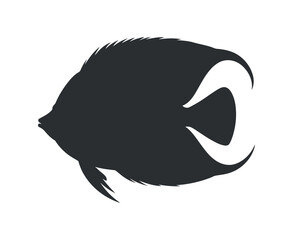 Tropical Fish Silhouette A Detailed Illustration of a Single Fish on a Transparent Background for Marine Designs