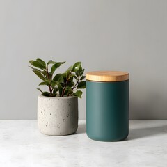 Minimalist Arrangement of a Potted Plant and a Teal Canister on a Light Surface