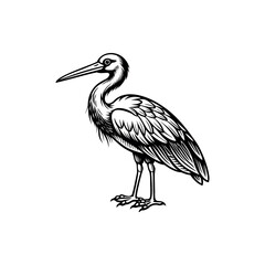 Obraz premium Elegant heron illustration with detailed feathers and sharp contrasts in black and white Silhouette Vector 