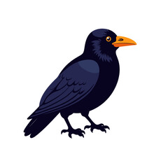 Fototapeta premium Black crow standing with an orange beak in vector style 