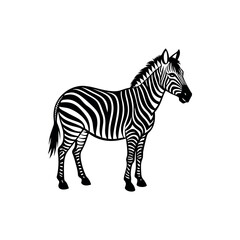 Black and white illustration of a zebra standing in profile view looking left Silhouette Vector 