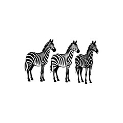 Fototapeta premium Three Zebras Standing Together in Black and White Silhouette Illustration vector art