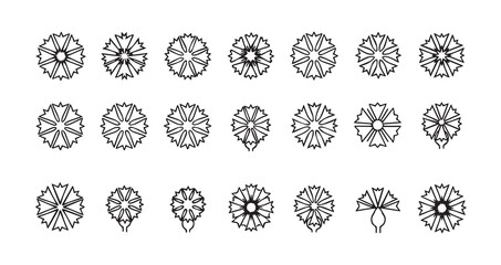 Cornflower line art icon bundle illustration