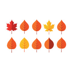 High-Quality Flat Vector Autumn Leaves: Ten Colorful Designs