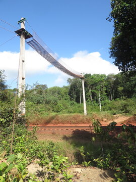 Passagem de Fauna sobre linha f&eacute;rrea (trilho de trem) na Amaz&ocirc;nia Paraense, Par&aacute;, Brasil.