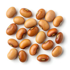 Obraz premium Close-up of dried horse gram beans neatly arranged on a white background, showcasing their small size