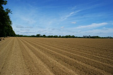 The endless ranks of the beds are ready for the growth of the new crop. 