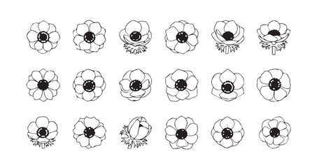 Anemone line art icon bundle illustration