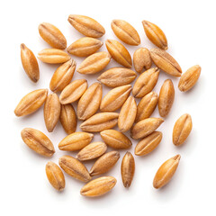 Obraz premium Close-up of spelt grains isolated on a white background, highlighting their elongated shape,
