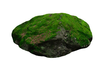 stone covered with green moss isolated on white background