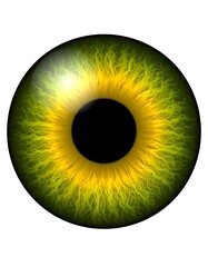 Close-up of a vibrant eye