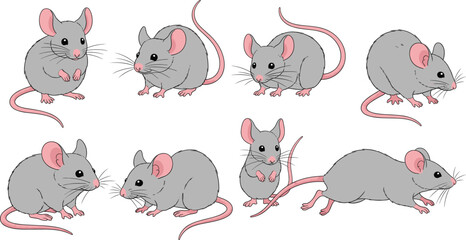 Cartoon gray mice in various poses, cute rodent vector set for children’s books, biology education, animal behavior illustrations