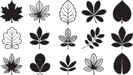 Diverse Collection of Black and White Leaf Silhouettes and Line Drawings leaves nature