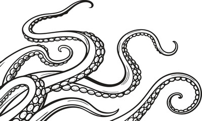 Obraz premium Whimsical tentacles of an octopus hand drawn sketch marine life sea creature deep sea ocean wildlife artistic representation of cephalopod