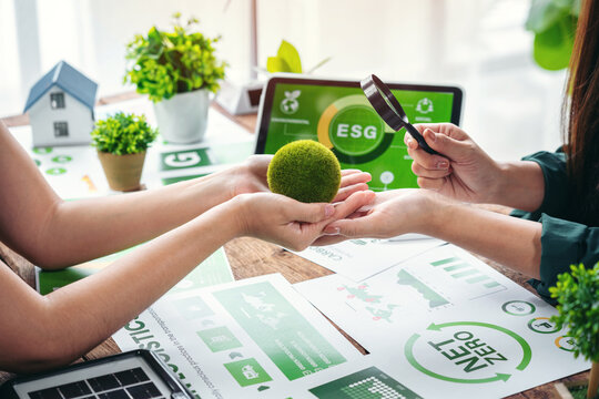 Professionals examine environmental social governance ESG goals for corporate sustainability and global net zero commitment at office meeting