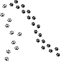 Whimsical paw prints trail across a clean white background, suggesting a playful journey