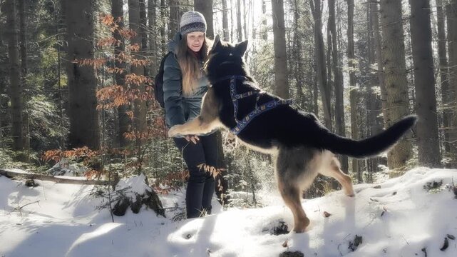 Girl with dog walking through snow in forest. Winter hike in mountains. Adventures in mountains.