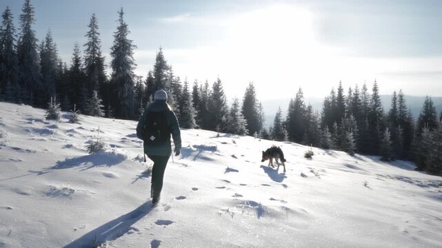 Girl with dog walking through snow among trees covered snow. Winter hike in mountains. Adventures in mountains.
