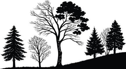 Diverse forest silhouette tree lineup majestic pine spruce and deciduous trees on rolling hillside natural landscape
