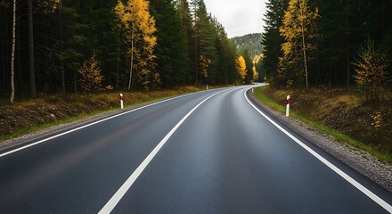 Fototapeta premium Autumn road through forest landscape.