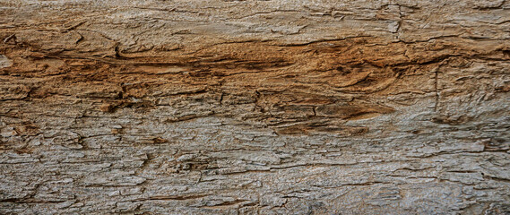 Old grunge dark textured wooden background with deep. rich brown tones, surface of aged wood,...